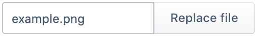 Default (with file selection) concept on a File component in Evergreen.